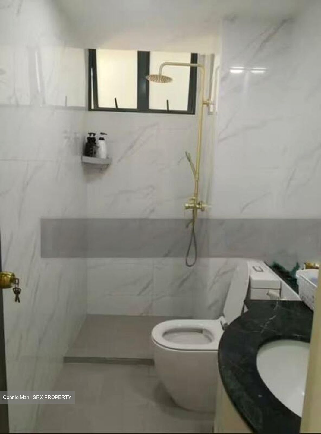 Summerdale (D22), Condominium #481707081